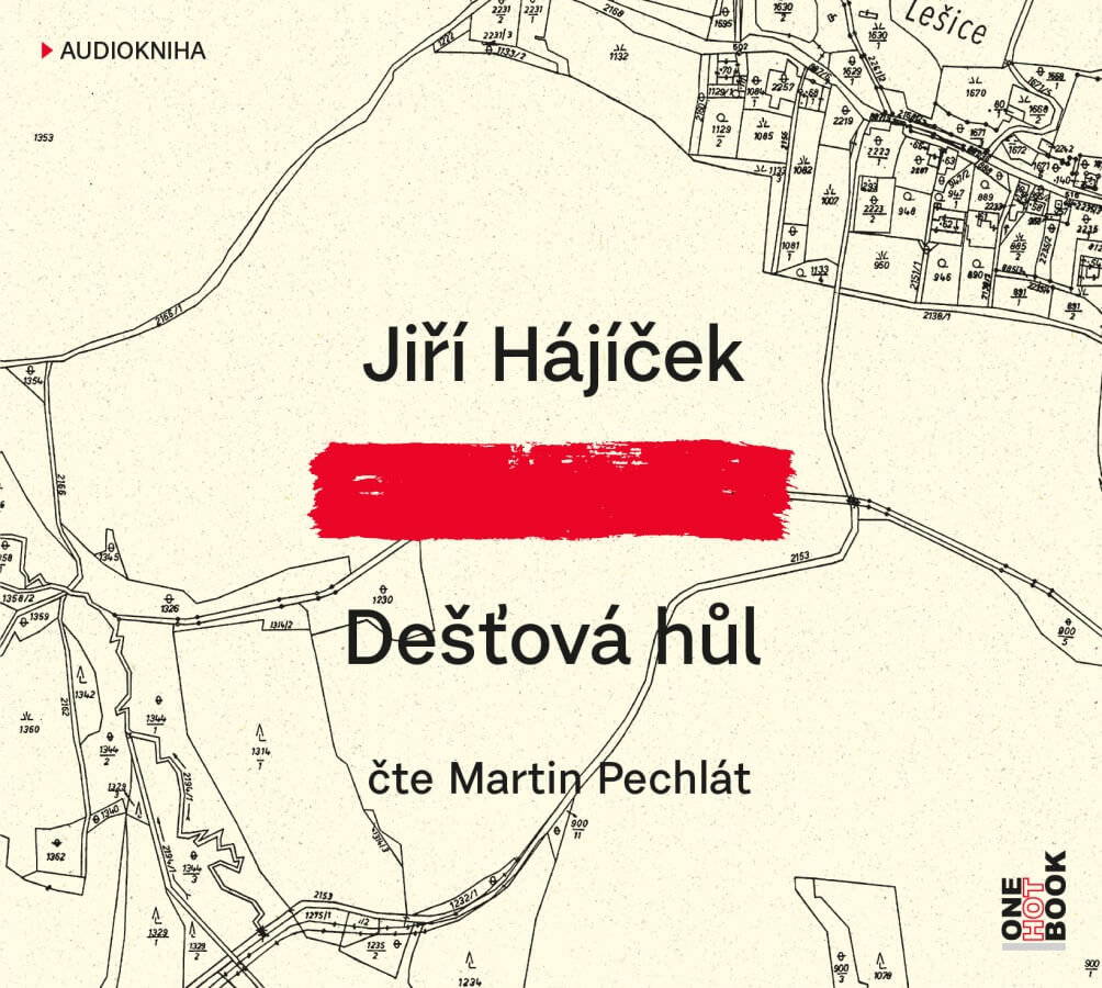 Levně Dešťová hůl (MP3-CD) - audiokniha