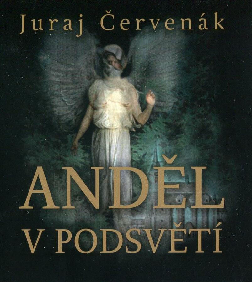 Levně Anděl v podsvětí (2 MP3-CD) - audiokniha