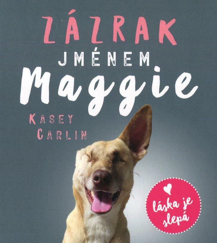 Levně Zázrak jménem Maggie (MP3-CD) - audiokniha