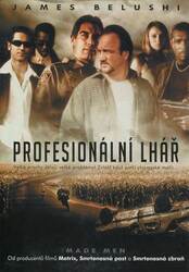 Profesionální lhář (DVD) (papírový obal)