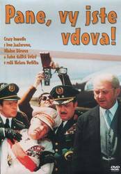 Pane, vy jste vdova (DVD) (papírový obal)