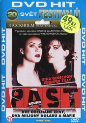Past (DVD) (papírový obal)