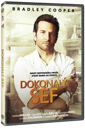 Dokonalý šéf (DVD)