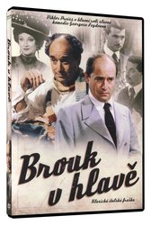 Brouk v hlavě (DVD)