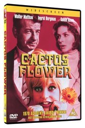 Kaktusový květ (DVD) - DOVOZ