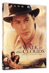 Procházka v oblacích (DVD) - DOVOZ