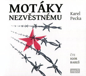 Motáky nezvěstnému (3 MP3-CD) - audiokniha