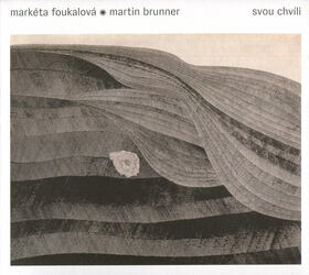 Markéta Foukalová, Martin Brunner - Svou chvíli (CD)