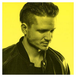 Ondřej Brzobohatý - Identity (CD)