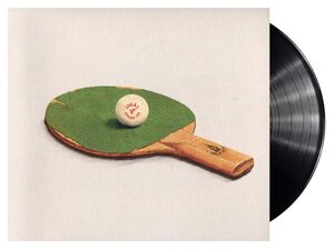Vypsaná fixa - Ideál (Vinyl LP)